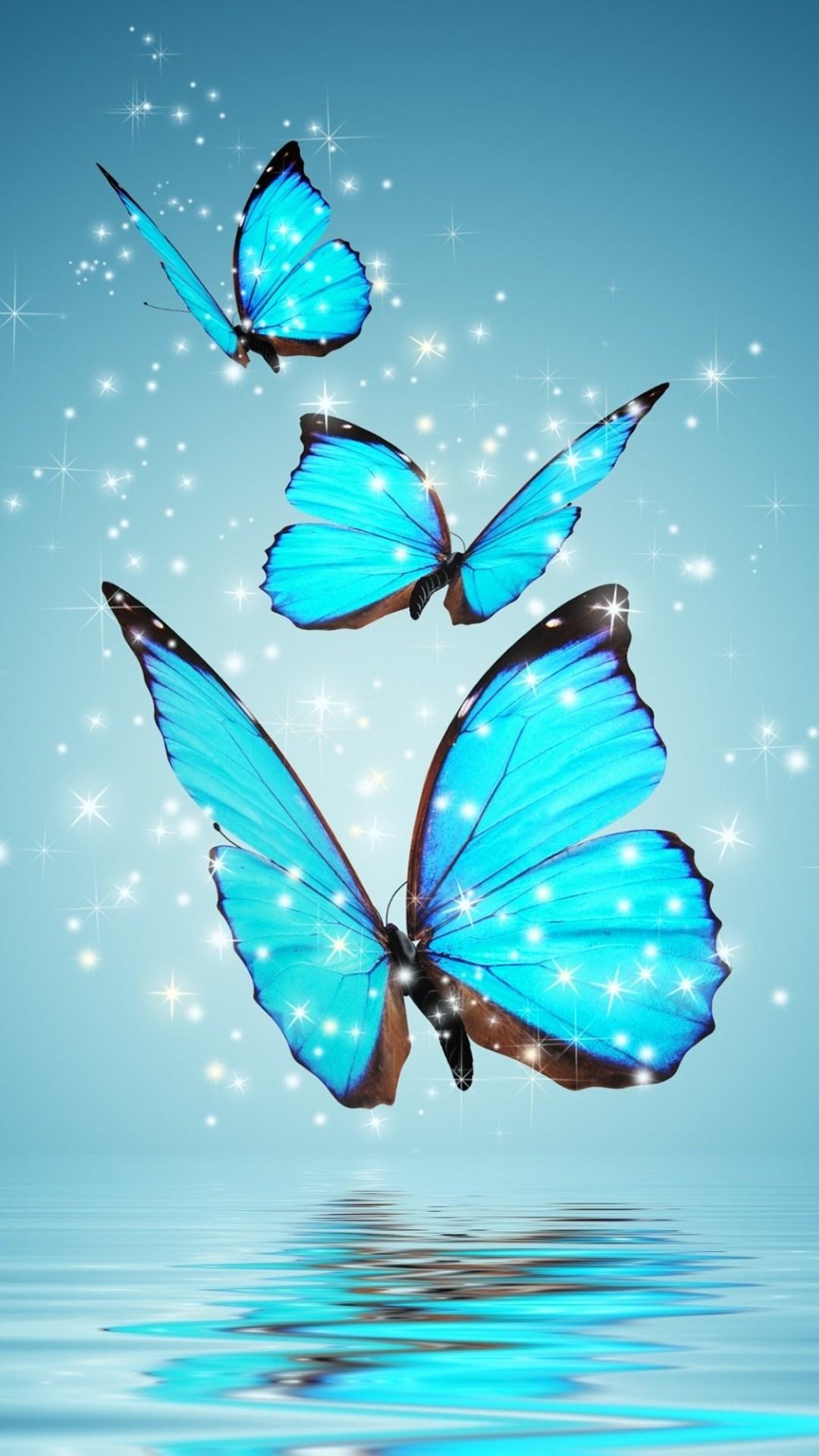 高清晰彩色蝴蝶飞舞电脑壁纸下载-欧莱凯设计网