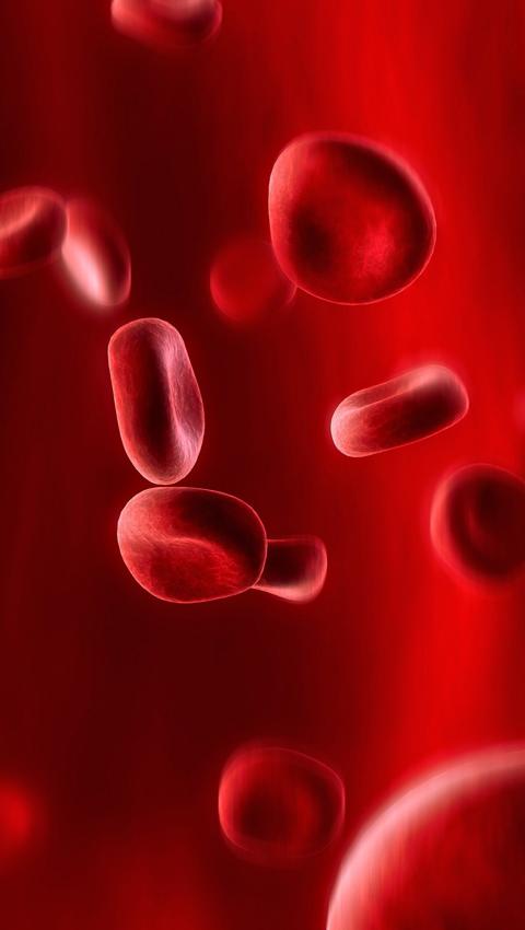 红血球简约创意壁纸图片