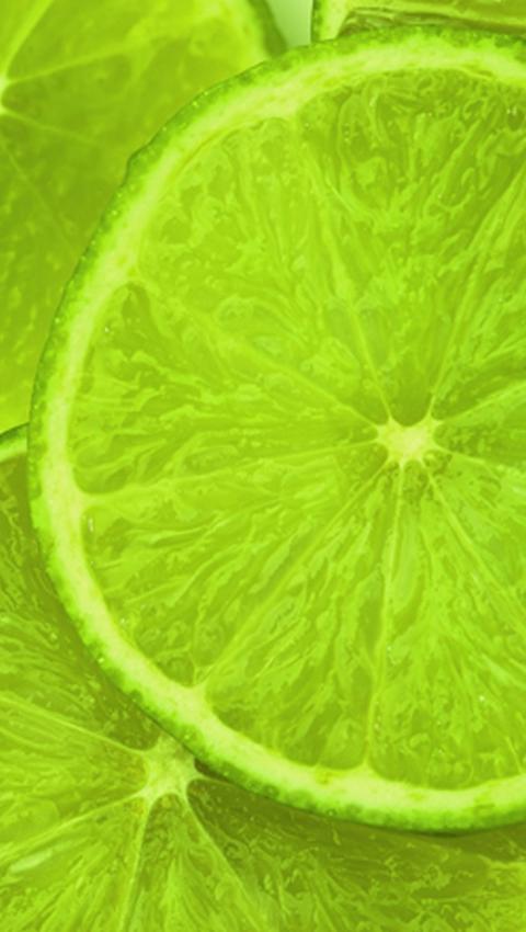 柠檬切片绿色养眼高清手机壁纸