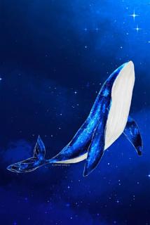漂亮的鲸鱼卡通手机壁纸