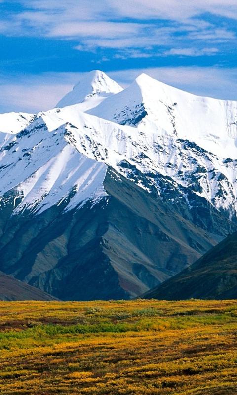 草原雪山风景高清手机壁纸