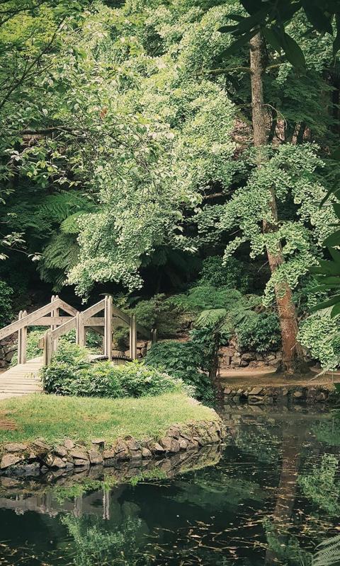 精美小桥流水绿色森林护眼写真手机壁纸图片