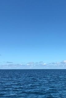 汇威V8蓝色大海内置壁纸背景图